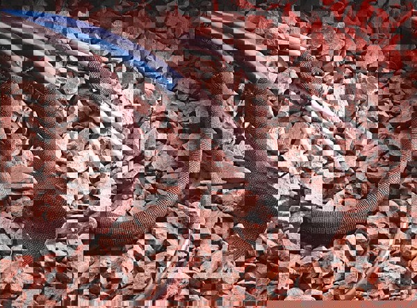 Heat-Shrink & Cold-Shrink Sleeve: 0.472